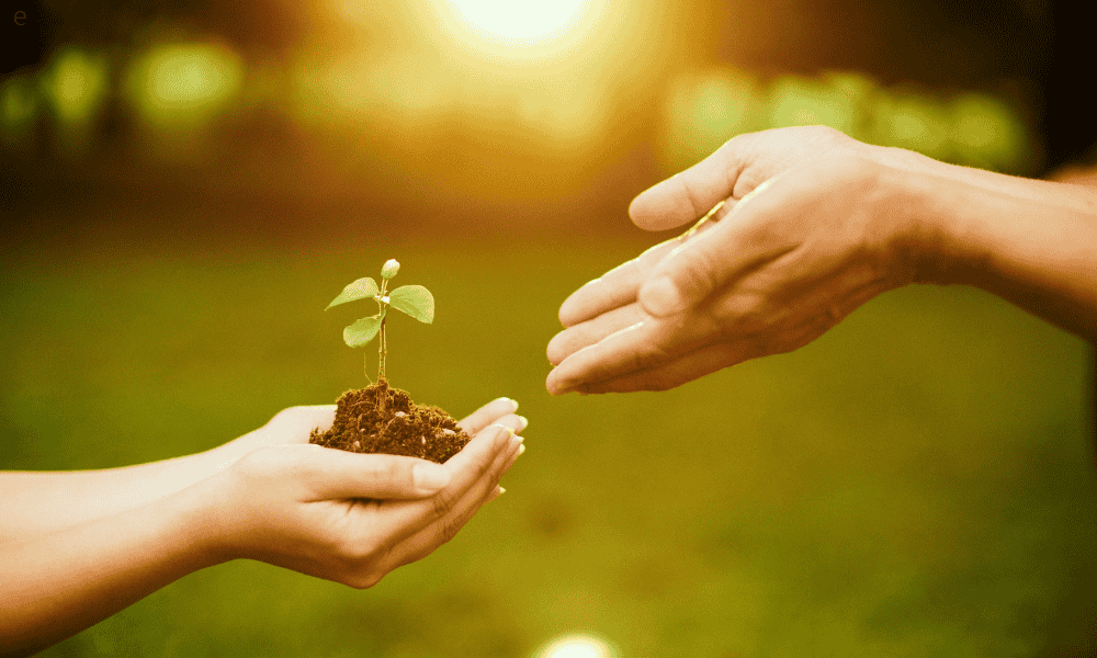 精神障害者保健福祉手帳と障害年金の申請を、芽を育てるように二人三脚でサポートするイメージ